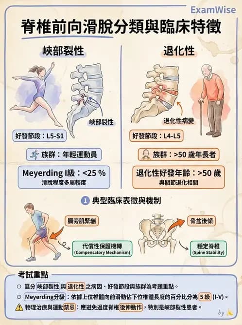 物治 - 腰椎椎間盤與脊椎狹窄 - AI 圖文解析預覽