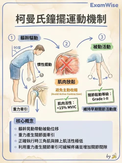 物治 - 肩關節夾擠與旋轉肌袖 - AI 圖文解析預覽