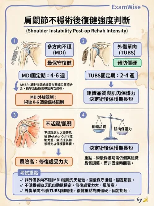 物治 - 肩關節不穩定與盂唇損傷 - AI 圖文解析預覽