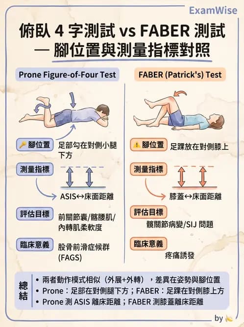 物治 - 髖關節解剖與評估 - AI 圖文解析預覽