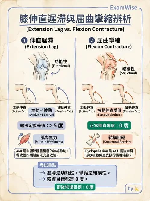 物治 - 膝關節生物力學與退化性疾病 - AI 圖文解析預覽