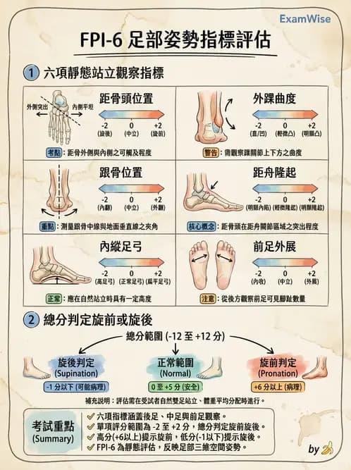 物治 - 足部病變與輔具評估 - AI 圖文解析預覽