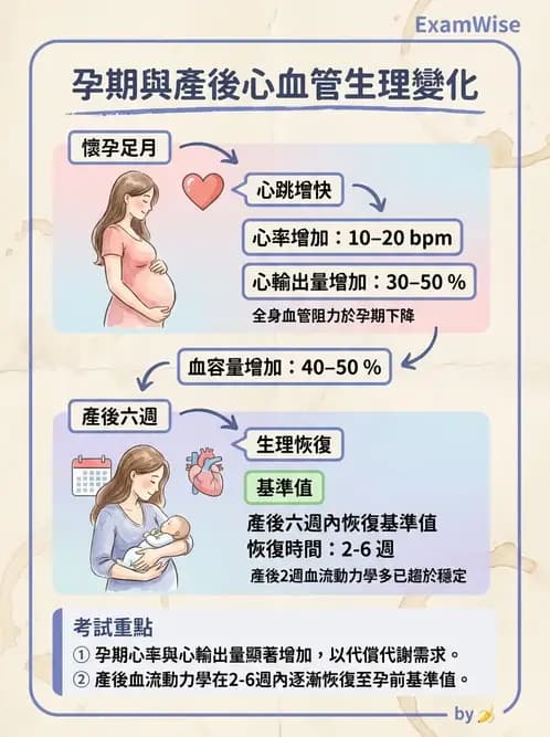 物治 - 女性健康 - AI 圖文解析預覽