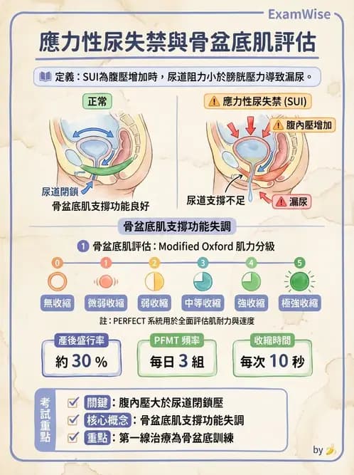 物治 - 女性健康 - AI 圖文解析預覽