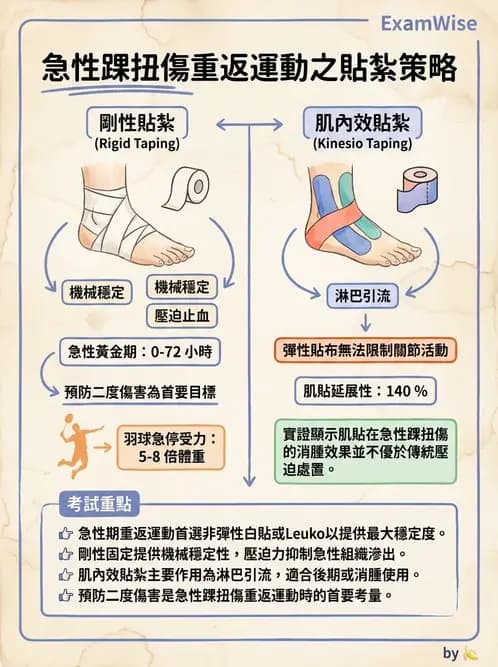 物治 - 競技與運動防護 - AI 圖文解析預覽