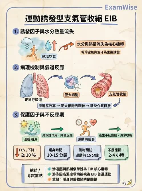 物治 - 阻塞性肺疾病物理治療 - AI 圖文解析預覽