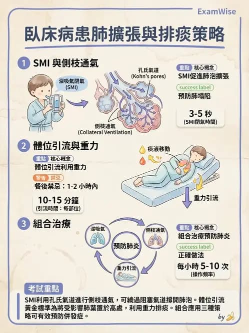 物治 - 氣道廓清與呼吸訓練技術 - AI 圖文解析預覽