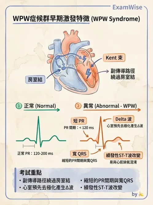 物治 - 心電圖判讀 - AI 圖文解析預覽