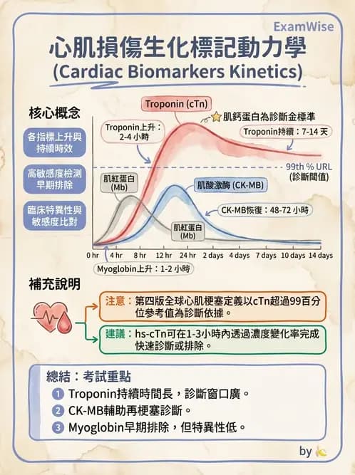 物治 - 心臟診斷工具與運動測試 - AI 圖文解析預覽