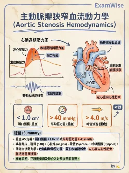 物治 - 心臟診斷工具與運動測試 - AI 圖文解析預覽