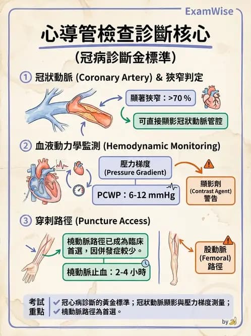 物治 - 心臟診斷工具與運動測試 - AI 圖文解析預覽
