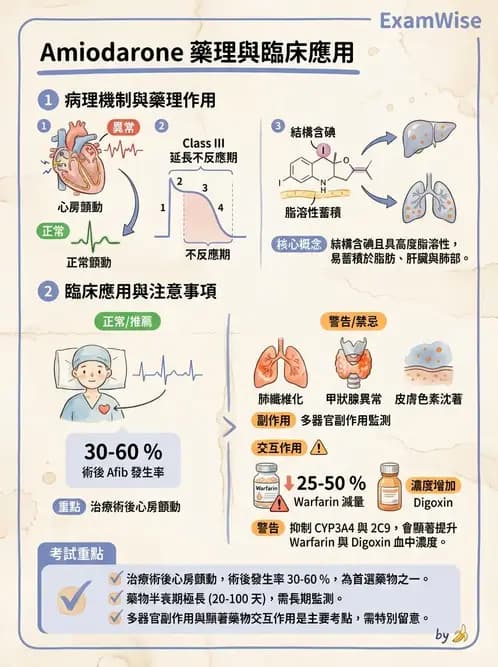物治 - 心臟藥物、輔助裝置與周邊血管 - AI 圖文解析預覽