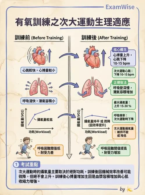 物治 - 心臟復健與運動處方 - AI 圖文解析預覽