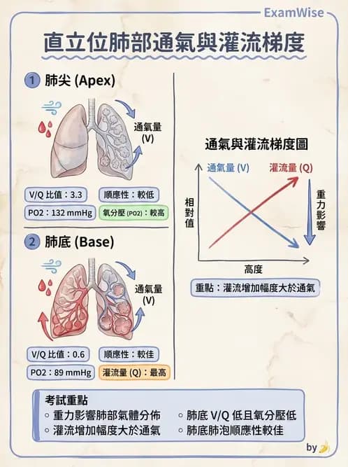物治 - 心臟復健與運動處方 - AI 圖文解析預覽