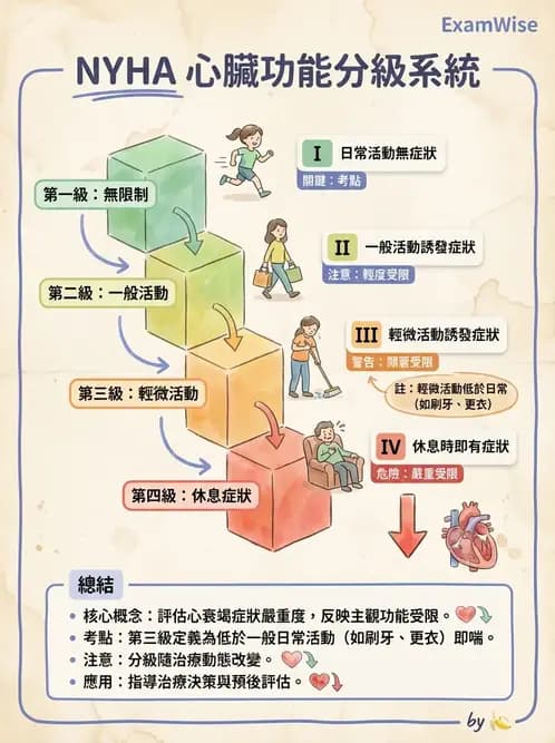 物治 - 心臟診斷工具與運動測試 - AI 圖文解析預覽