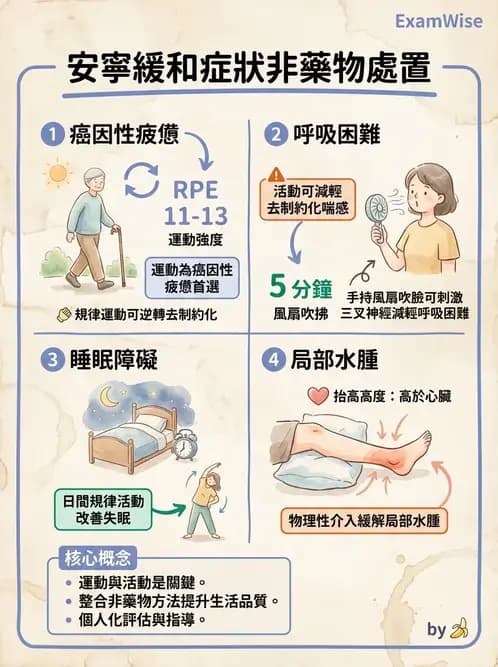 物治 - 癌症物理治療 - AI 圖文解析預覽