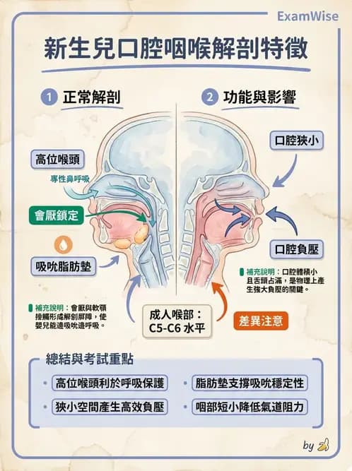 物治 - 新生兒與嬰兒發展評估 - AI 圖文解析預覽