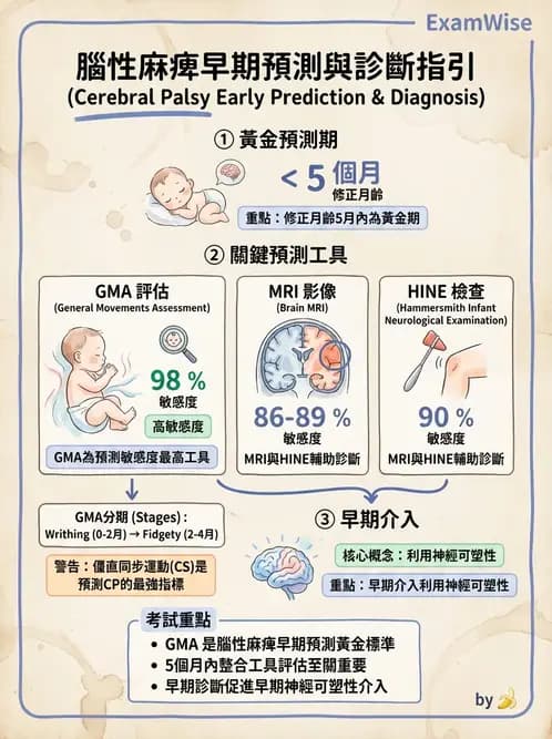 物治 - 新生兒與嬰兒發展評估 - AI 圖文解析預覽