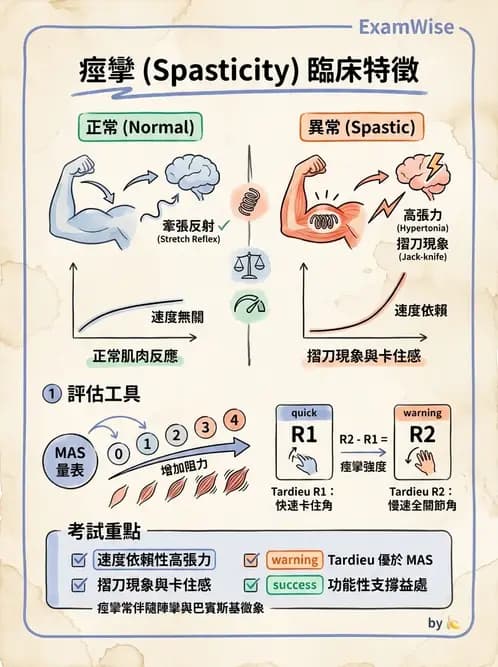 物治 - 腦性麻痺分類、評估與步態 - AI 圖文解析預覽