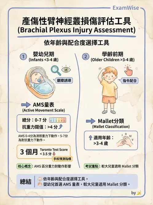 物治 - 小兒肌肉骨骼疾患物理治療 - AI 圖文解析預覽