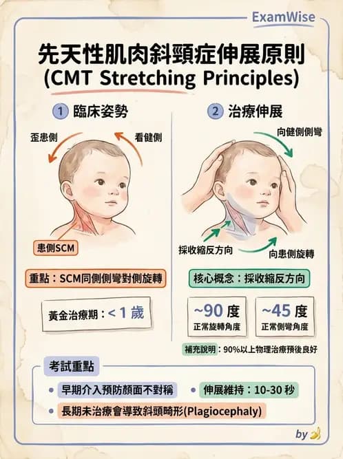 物治 - 小兒肌肉骨骼疾患物理治療 - AI 圖文解析預覽