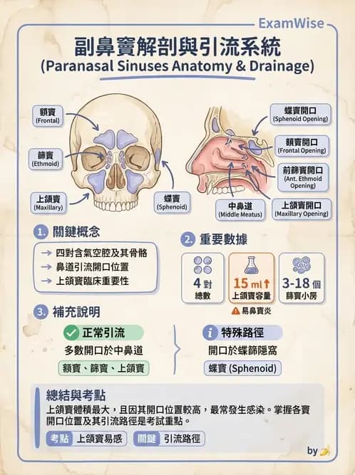 物治 - 骨骼與關節解剖 - AI 圖文解析預覽
