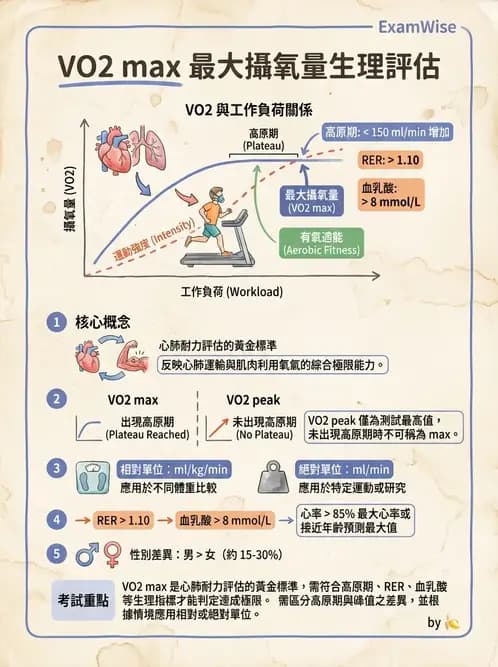 物治 - 運動與環境心肺生理 - AI 圖文解析預覽