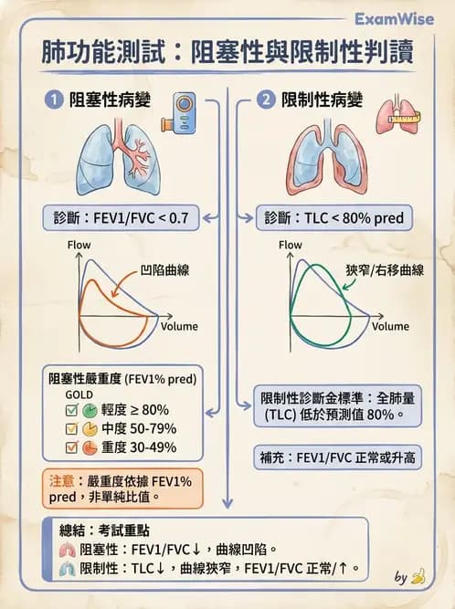 物治 - 呼吸生理 - AI 圖文解析預覽