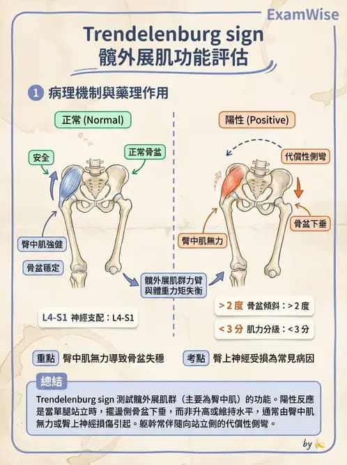 物治 - 異常步態與姿勢分析 - AI 圖文解析預覽