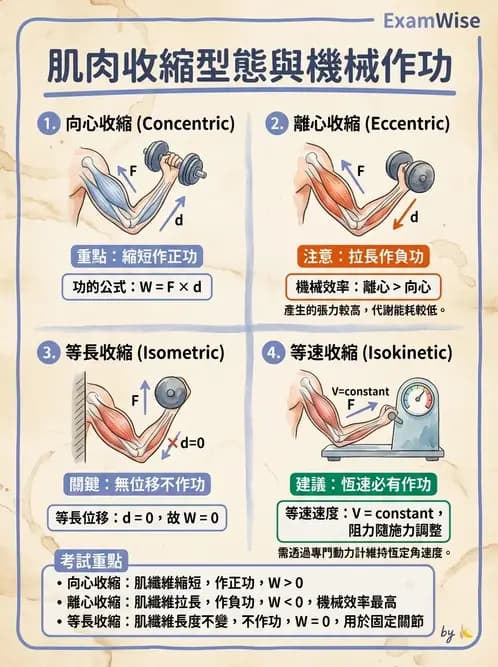 物治 - 肌肉力學與感覺運動控制 - AI 圖文解析預覽