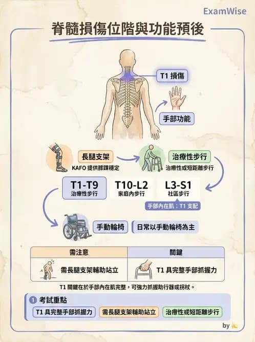 物治 - 脊髓與周邊神經疾病 - AI 圖文解析預覽