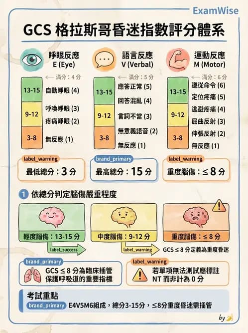 物治 - 腦血管疾病與腦外傷 - AI 圖文解析預覽