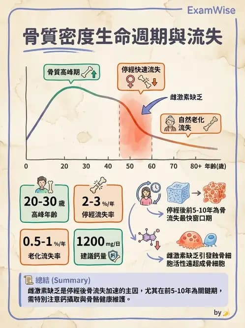 物治 - 骨科與外科疾病 - AI 圖文解析預覽