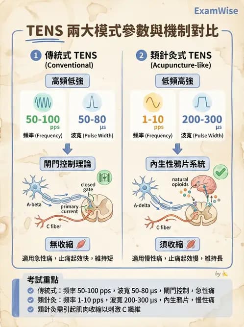 物治 - 經皮電刺激與電療基礎 - AI 圖文解析預覽