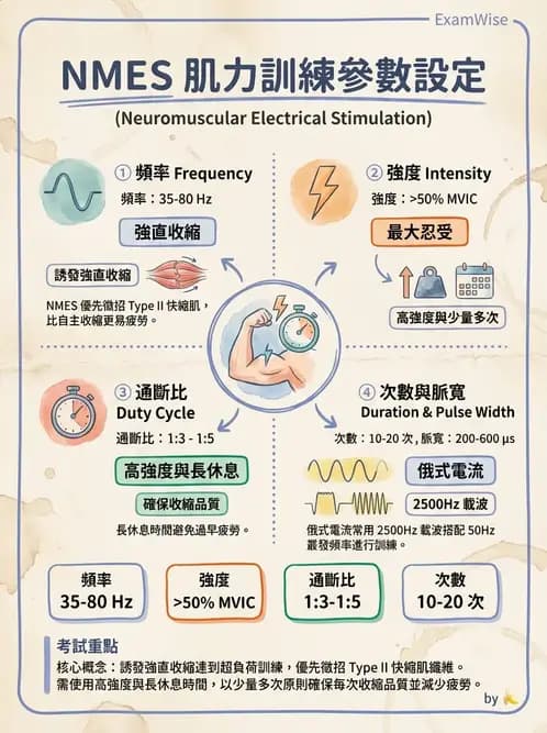 物治 - 神經肌肉電刺激 - AI 圖文解析預覽