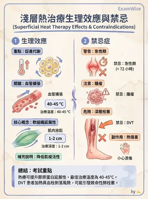 物治 - 溫度療法 - AI 圖文解析預覽