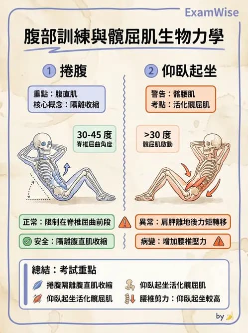 物治 - 核心穩定與功能性訓練 - AI 圖文解析預覽