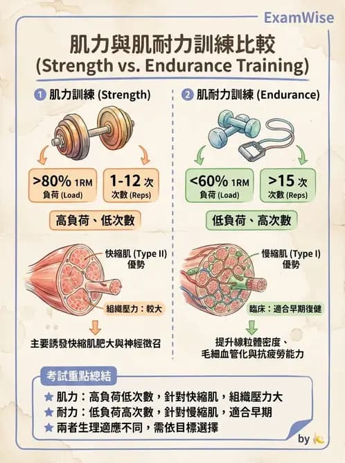 物治 - 肌耐力與神經肌肉適應 - AI 圖文解析預覽
