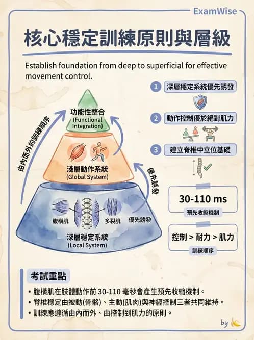 物治 - 核心穩定與功能性訓練 - AI 圖文解析預覽