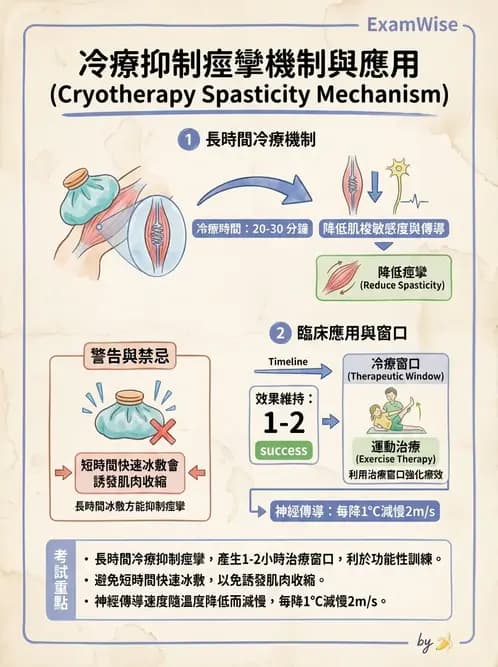 物治 - 溫度療法 - AI 圖文解析預覽