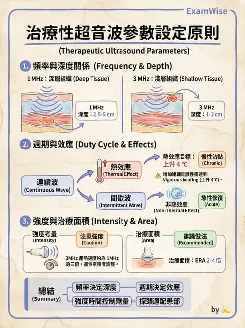 物治 - 超音波 - AI 圖文解析預覽