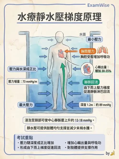 物治 - 水療 - AI 圖文解析預覽