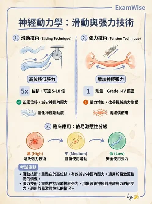 物治 - 神經鬆動術 - AI 圖文解析預覽