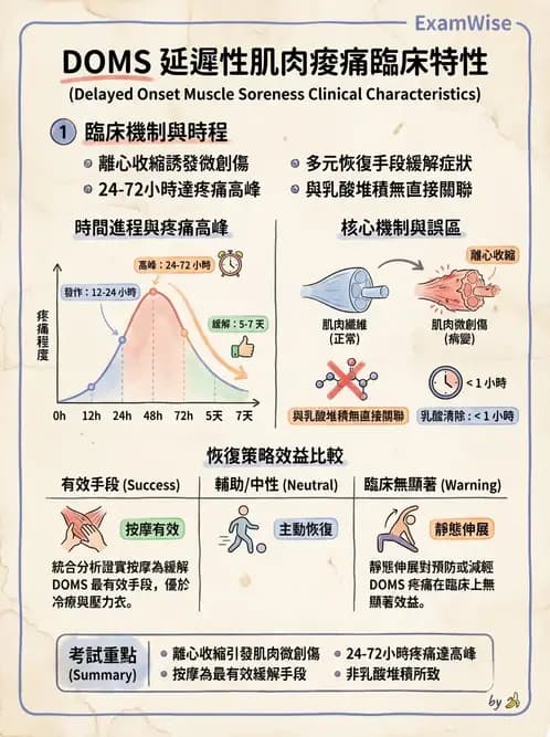 物治 - 瑞典式按摩與運動按摩 - AI 圖文解析預覽