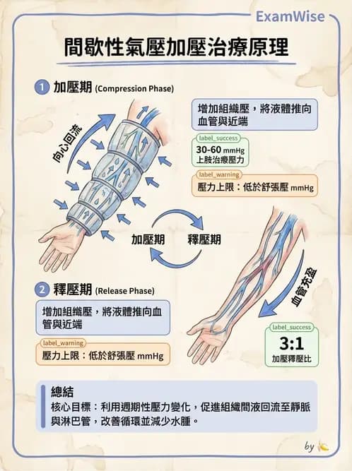 物治 - 力學因子 - AI 圖文解析預覽
