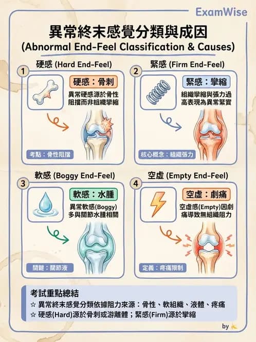 物治 - ROM通則與關節運動 - AI 圖文解析預覽
