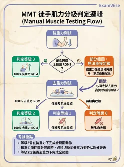 物治 - 上肢徒手肌力測試 - AI 圖文解析預覽