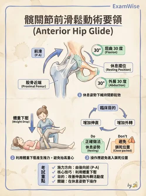 物治 - 鬆動術臨床應用 - AI 圖文解析預覽