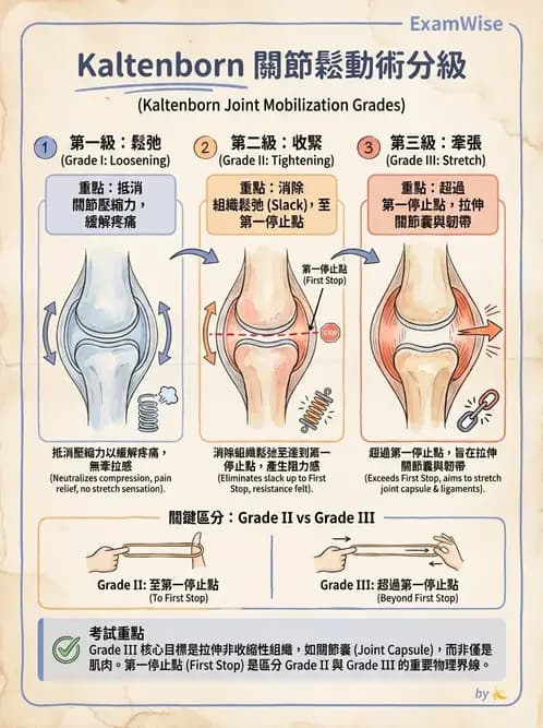 物治 - 鬆動術分級理論 - AI 圖文解析預覽