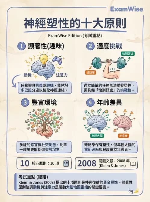 物治 - 神經可塑性 - AI 圖文解析預覽